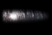 RE: in the woods