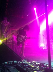 Amy & Torq
